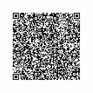 vCard 79063700218