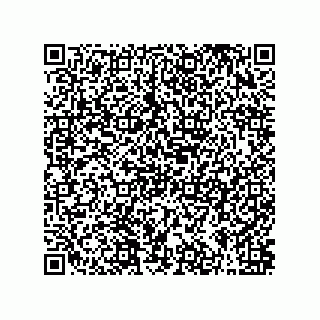 vCard 79063700237