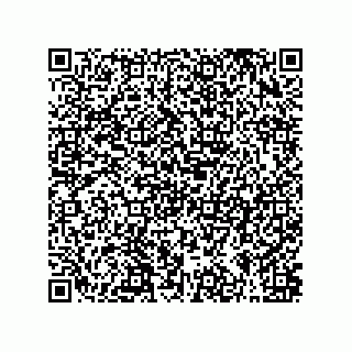vCard 79063700253