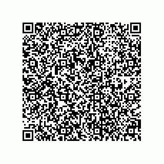 vCard 79063700258