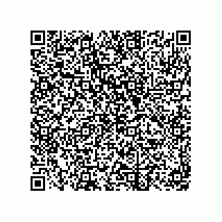 vCard 79063700260