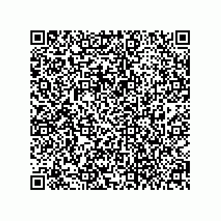 vCard 79063700265