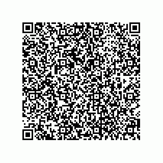 vCard 79063700271