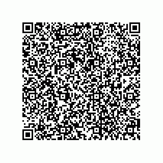 vCard 79063700276