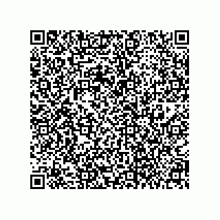 vCard 79063700290
