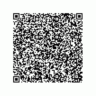 vCard 79063700291