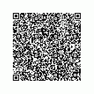 vCard 79063700294