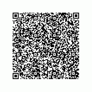 vCard 79063700302
