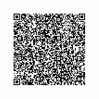 vCard 79063700303