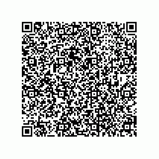 vCard 79063700312