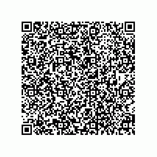 vCard 79063700313