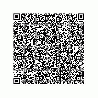 vCard 79063700316