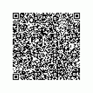 vCard 79063700317