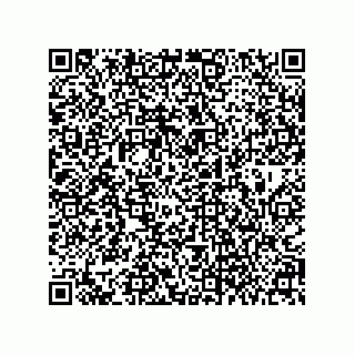 vCard 79063700318