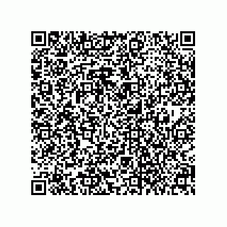 vCard 79063700319