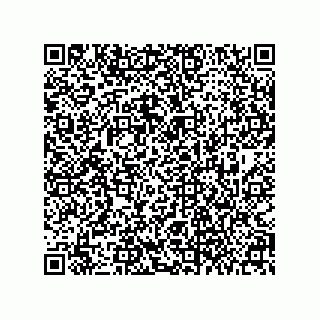 vCard 79063700324