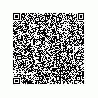 vCard 79063700335