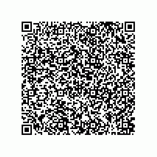vCard 79063700337