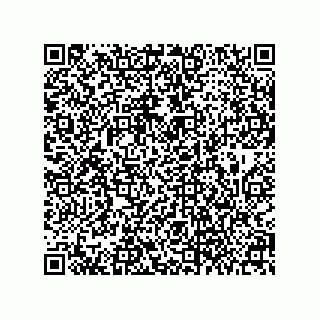 vCard 79063700339