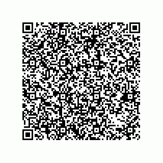 vCard 79063700355