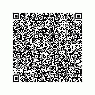 vCard 79063700384