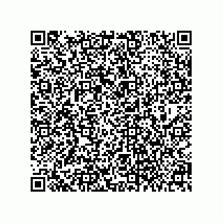 vCard 79063700385