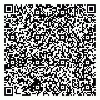 vCard 79064460133