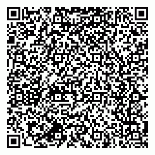 vCard 79064460203