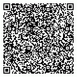 vCard 79065000021