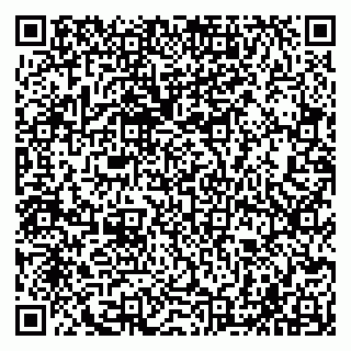 vCard 79065000038