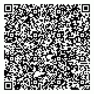 vCard 79065000119