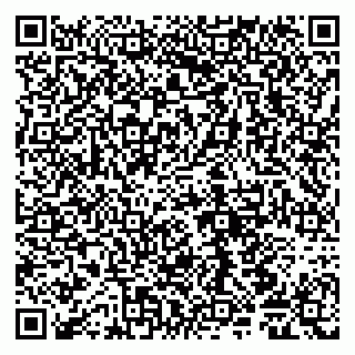 vCard 79065000131