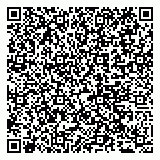 vCard 79065000161