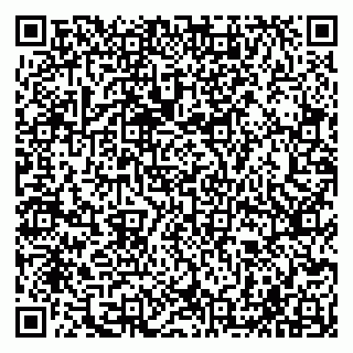 vCard 79065000173