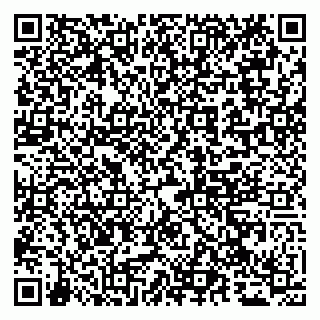 vCard 79065000181