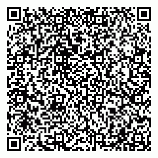vCard 79065000213