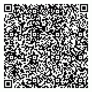 vCard 79065000311