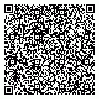 vCard 79065000315