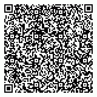 vCard 79065000317