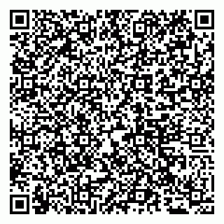 vCard 79065000365