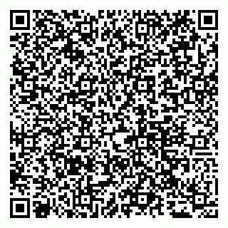 vCard 79065000399