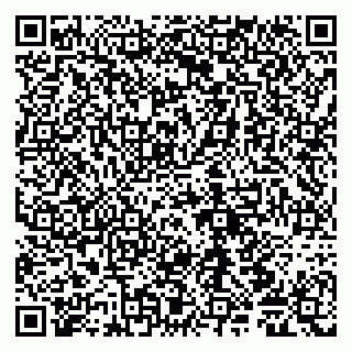 vCard 79065000411