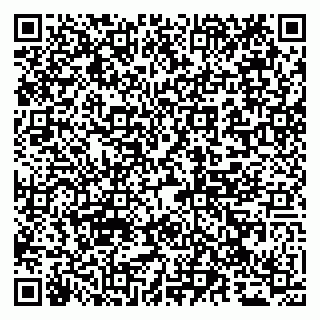 vCard 79065000499
