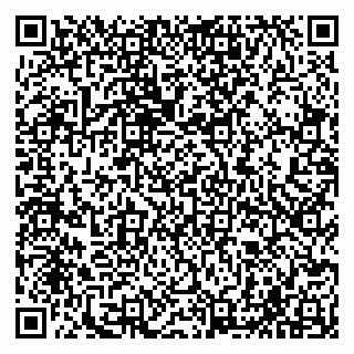 vCard 79065000500