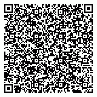 vCard 79065000599