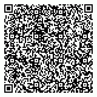 vCard 79065000631