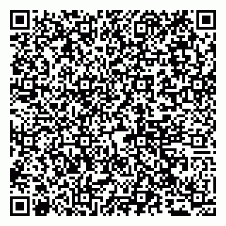 vCard 79065000729