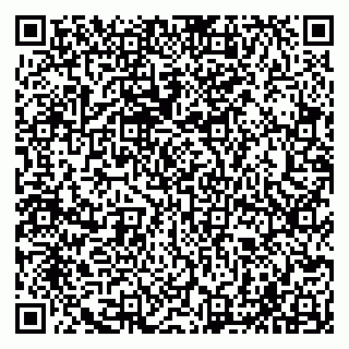vCard 79065000733