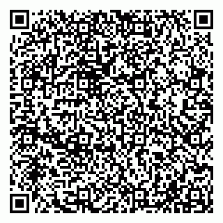 vCard 79065002100
