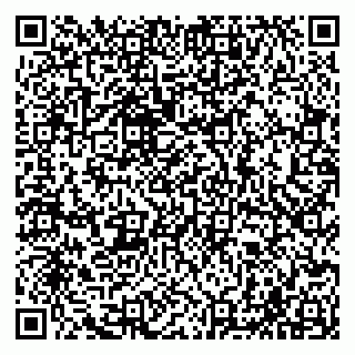 vCard 79065002381